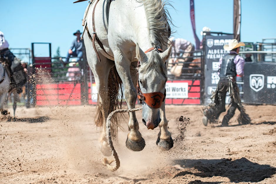 Bronc_Riding Image 2