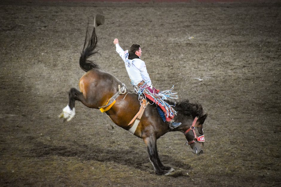 Bronc_Riding Image 3