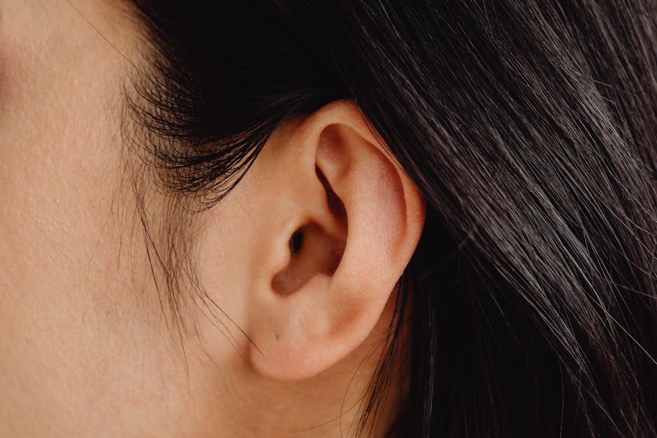 Cat_Ear_Health Image 5