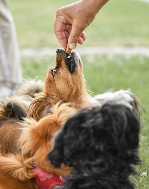 Dog_Training_Treats Image 5