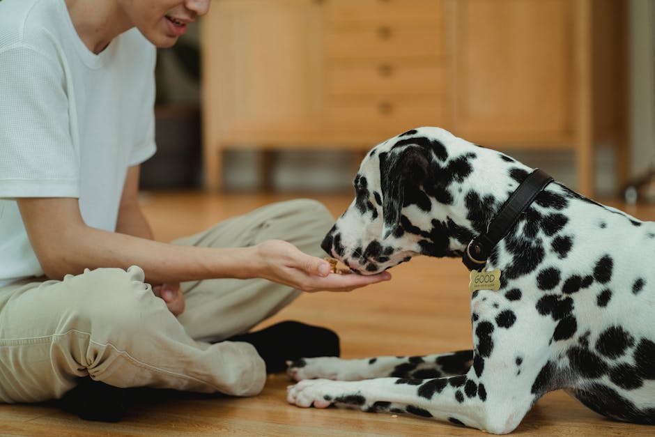 Dog_Training_Treats Image 9