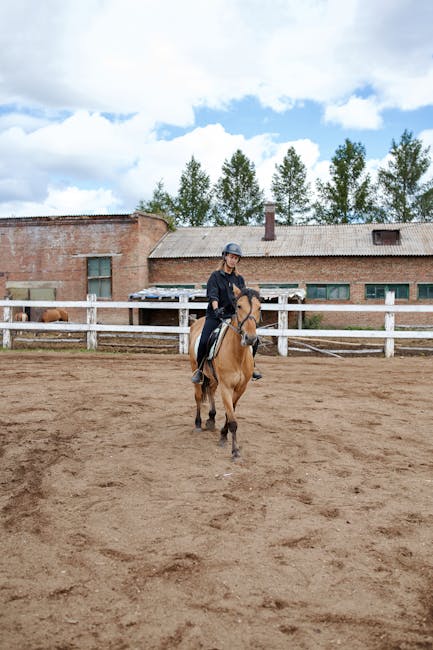 Dressage_Training Image 1