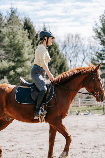 Dressage_Training Image 2