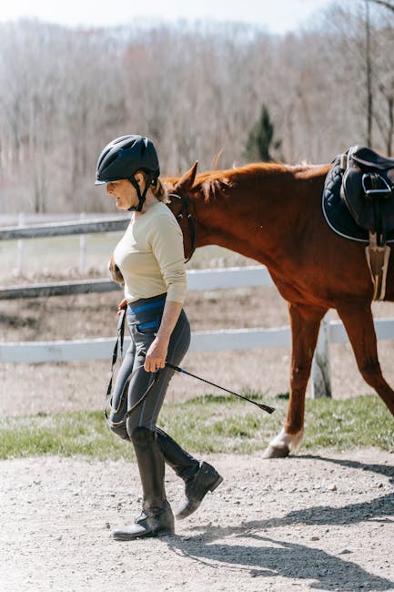 Dressage_Training Image 7