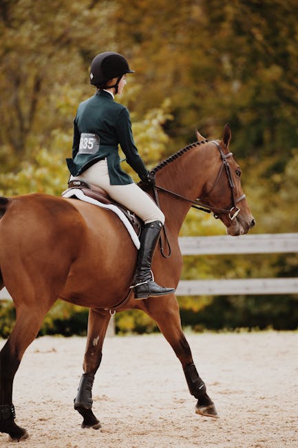 Dressage_Training Image 10