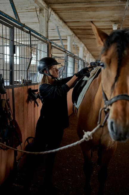 Dressage_Training Image 4