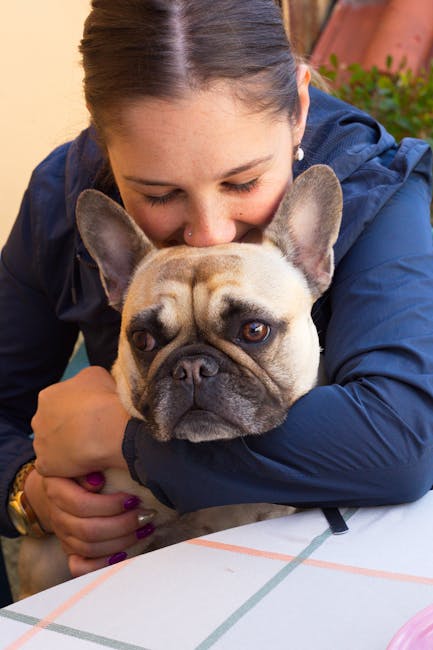 French_Bulldog_Care Image 1