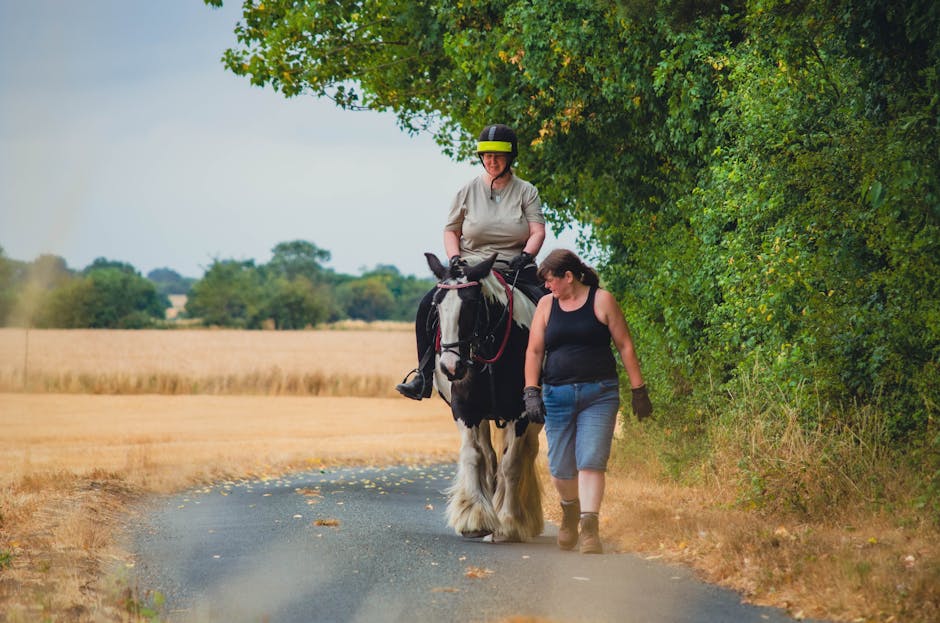 Gypsy_Vanner_Horse Image 4