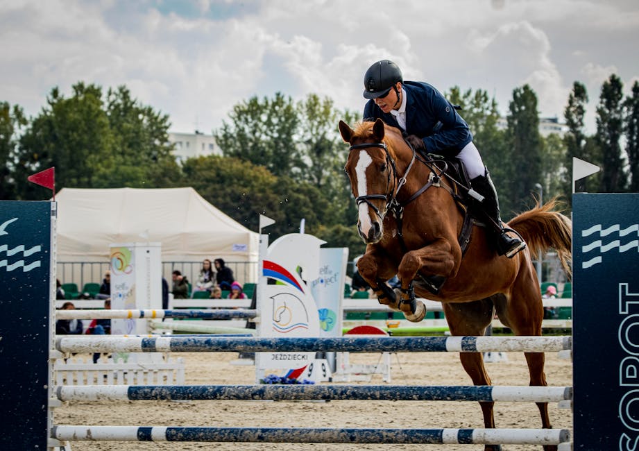 Horse_Eventing Image 1