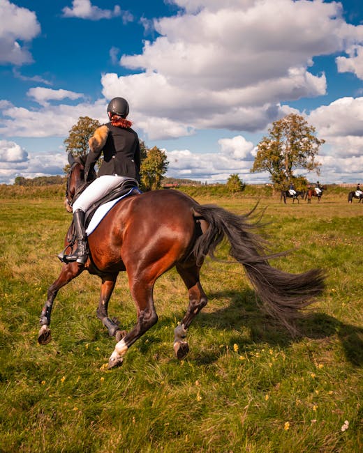 Horse_Eventing Image 2