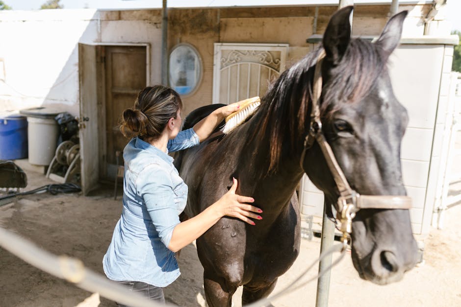 Horse_Grooming_Tips Image 3