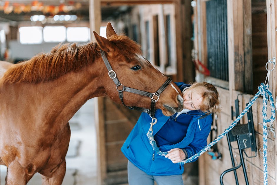 Horse_Grooming_Tips Image 1