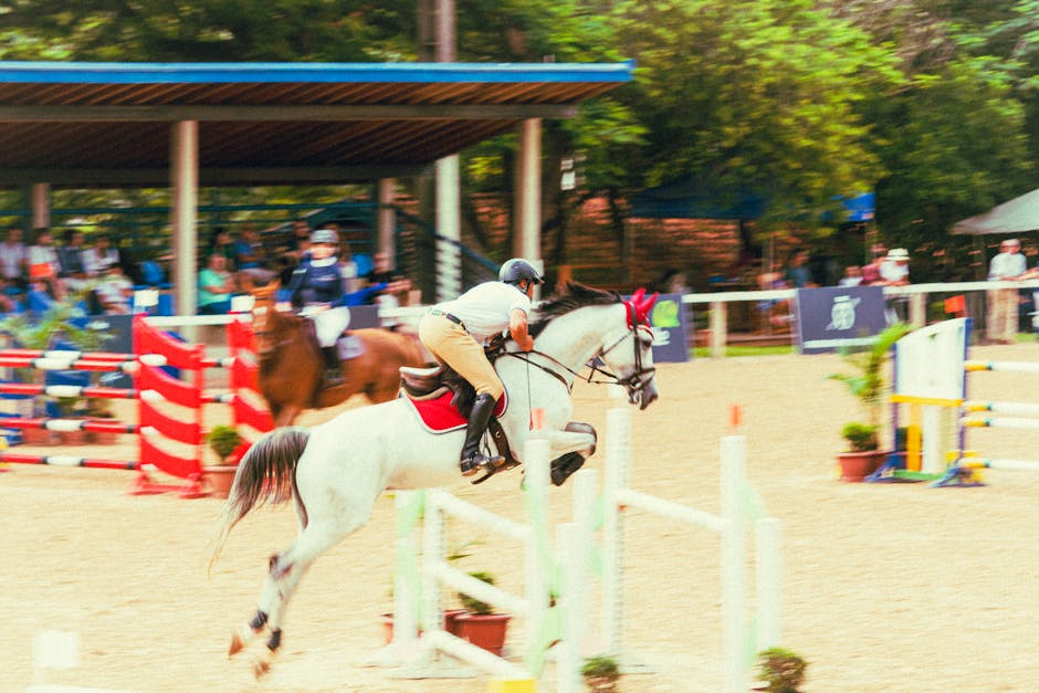 Horse_Show_Jumping Image 4