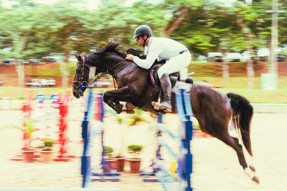 Horse_Show_Jumping Image 8