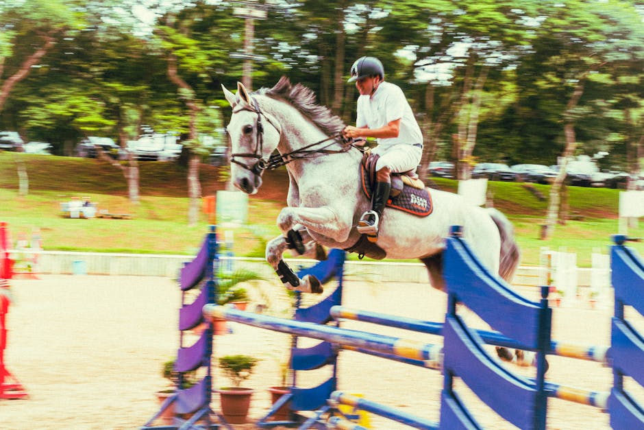 Horse_Show_Jumping Image 9