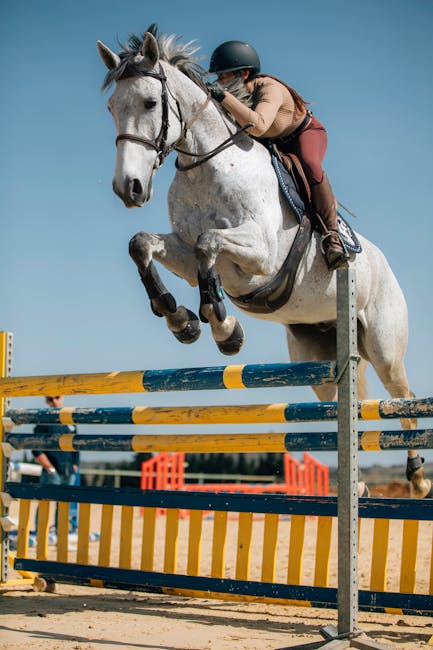 Horse_Show_Jumping Image 3