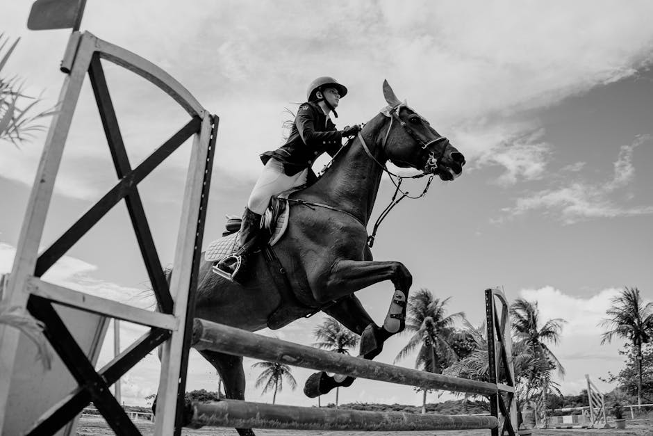 Horse_Show_Jumping Image 10