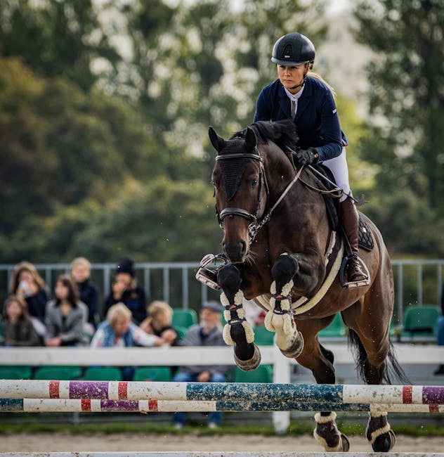 Horse_Show_Jumping Image 7