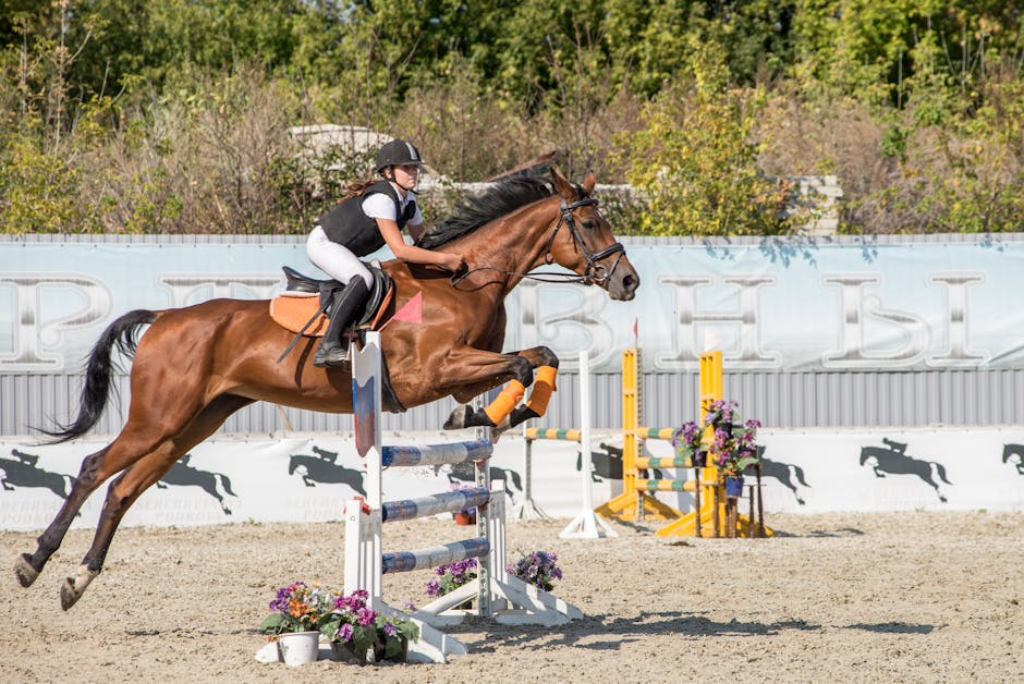 Horse_Show_Jumping Image 6