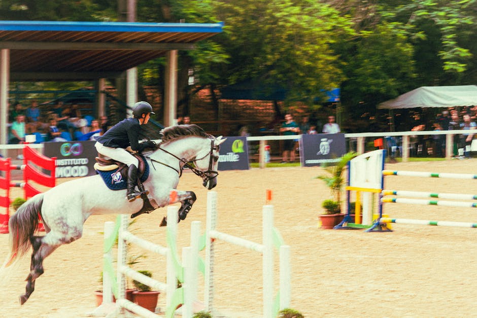 Horse_Show_Jumping Image 11