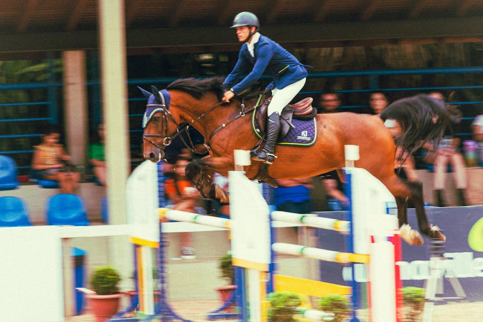 Horse_Show_Jumping Image 1