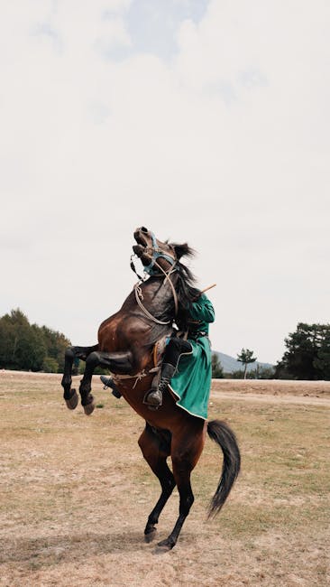 Iberian_Horse Image 4