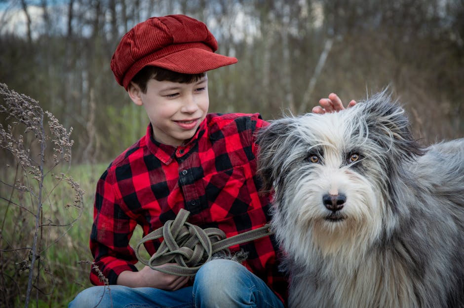 Old_English_Sheepdog Image 1