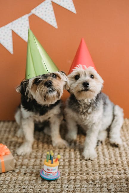 Pet_Birthday_Party Image 1