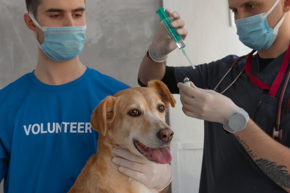 Pet_Vaccinations Image 6