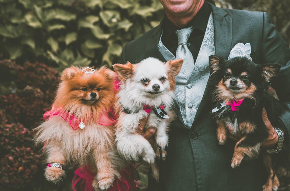 Pets_In_Weddings Image 3