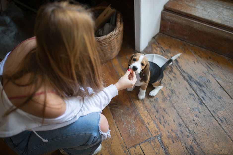 Puppy_Feeding_Guide Image 10