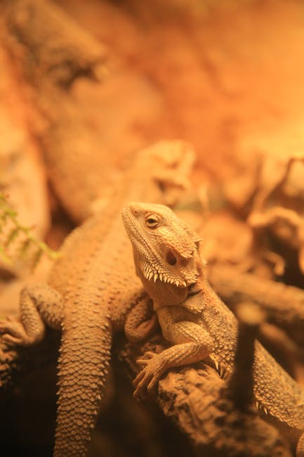 Reptiles_As_Pets Image 6