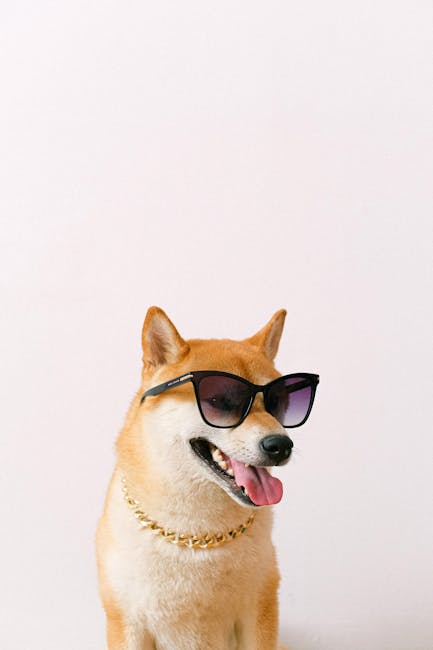 Shiba_Inu Image 2