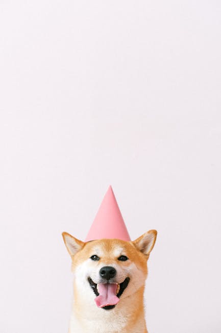 Shiba_Inu Image 5