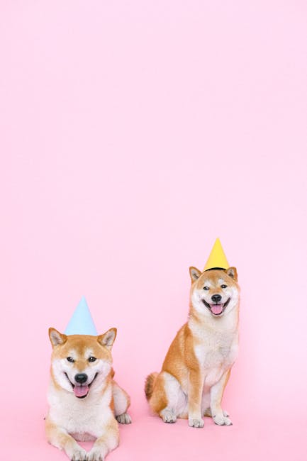 Shiba_Inu Image 3