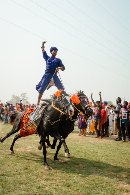 Stunt_Riding_Horses Image 9