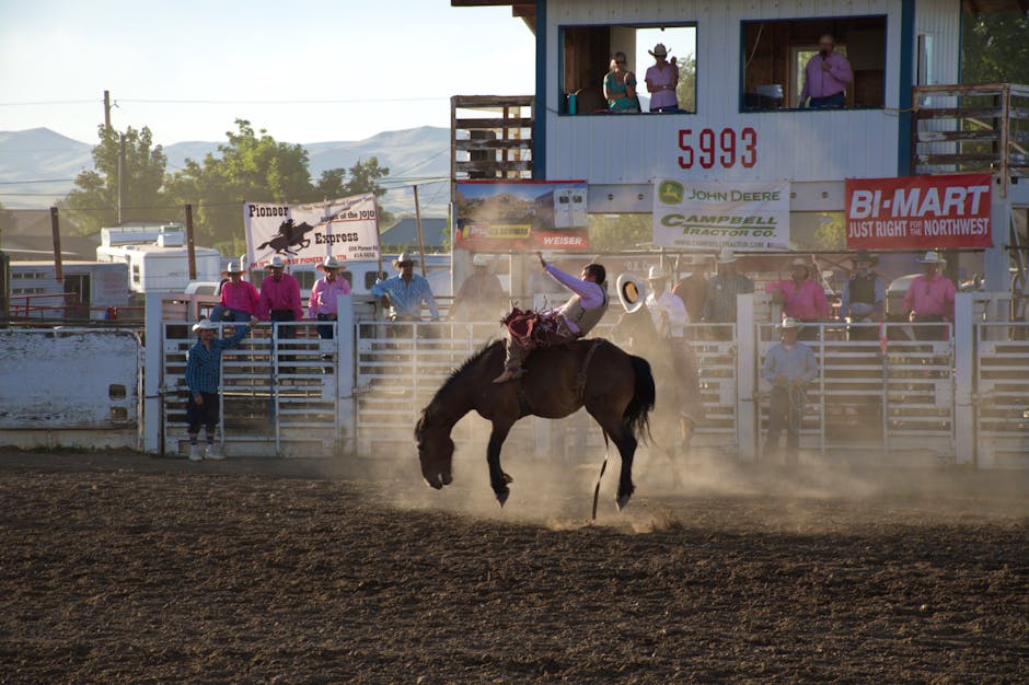 Stunt_Riding_Horses Image 2