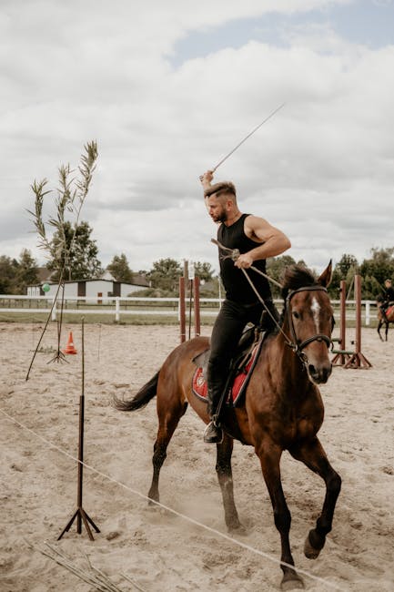 Stunt_Riding_Horses Image 1