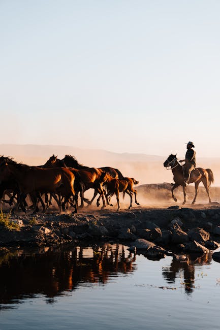 Stunt_Riding_Horses Image 7