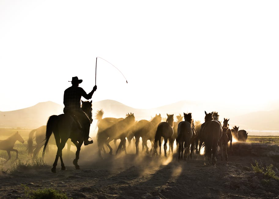 Stunt_Riding_Horses Image 4