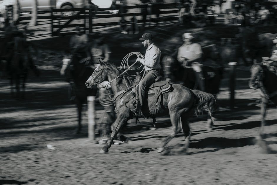 Team_Roping Image 4