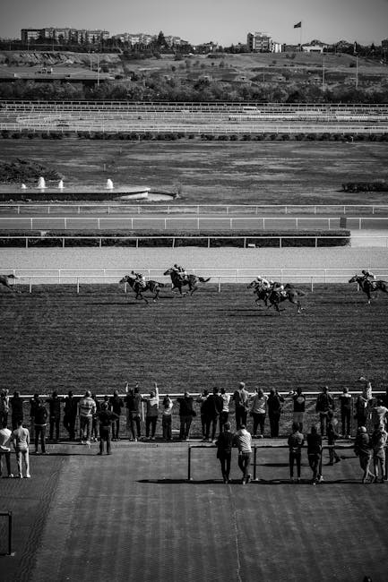 Thoroughbred_Horses Image 8