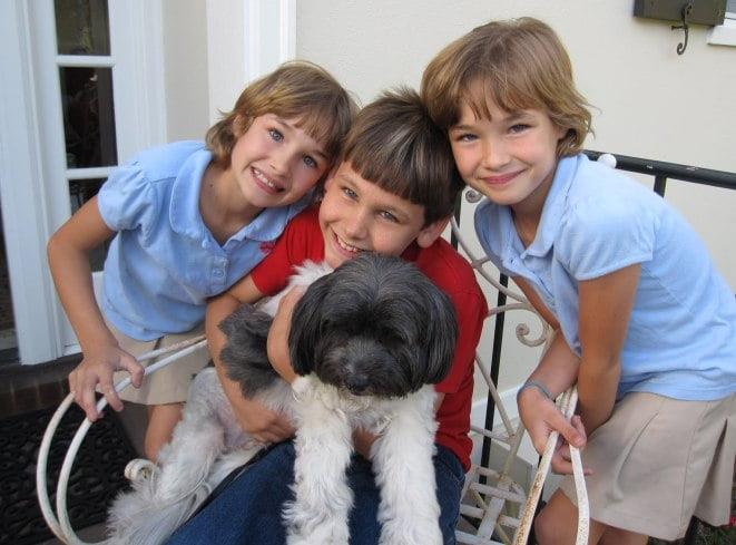 Choosing a Pet and Pets as Presents for Children